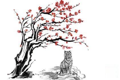 属虎人2024年全年运势预测 | 好运是否相伴？