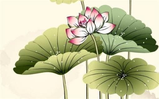 属猴与属龙的相合关系分析：性格契合度与相处之道