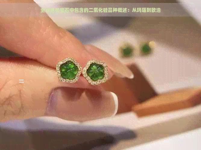 全球各类宝石中包含的二氧化硅品种概述：从玛瑙到欧泊