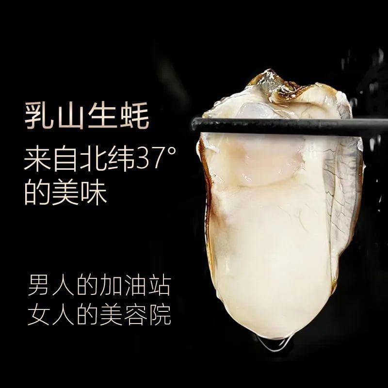 乳山生蚝正肥美！个大肉厚，原来山东才是“蚝门”