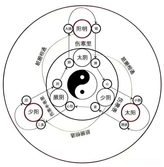 一文解析伤寒厥阴病：为什么难治，在于阴阳错杂，虚实并见