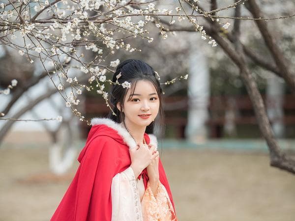 梅尧臣《京师逢卖梅花五首》：清新脱俗而各有情趣