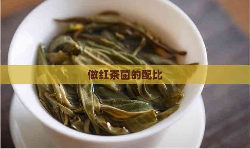 红茶菌制作全攻略：从原料配比到发酵技巧详解