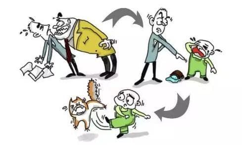 远离踢猫效应，做情绪的主人