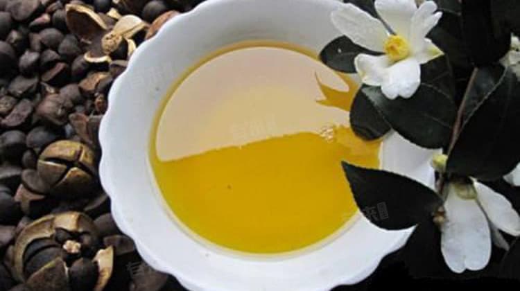 茶油可以淡斑是直接涂抹脸上吗