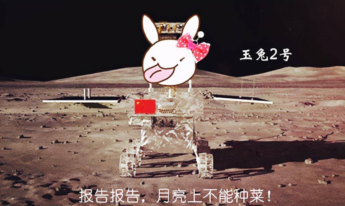 为什么中国人一旦失意，就想着回家种地？