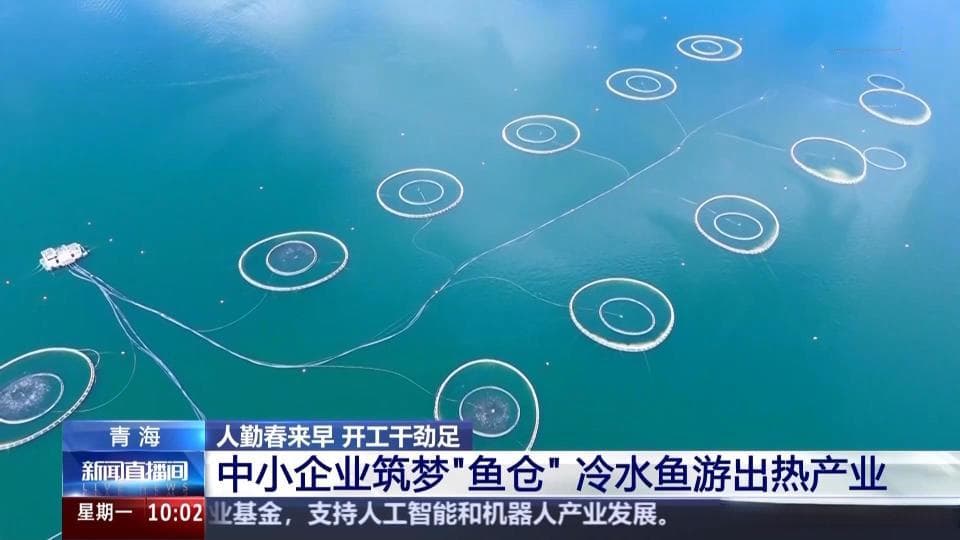 人勤春来早 开工干劲足丨在高原水库住“豪华别墅” 青海三文鱼如何“游”上海外餐桌