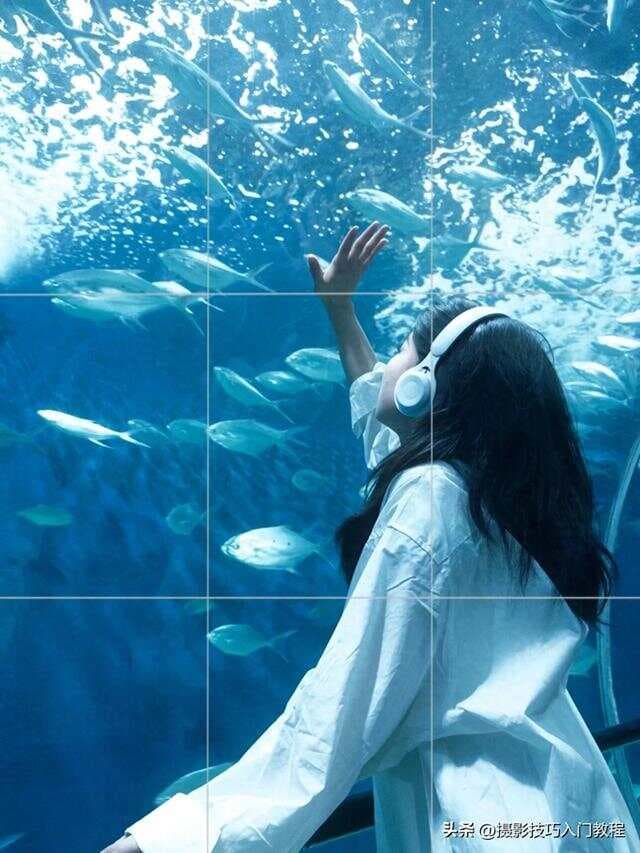 海洋馆拍照太出片了！普通人如何在海洋馆拍出好看的照片？