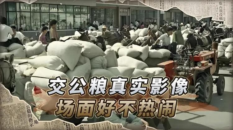 “公粮”与“公家饭”背后的养老金差异：脑力与体力劳动的区别