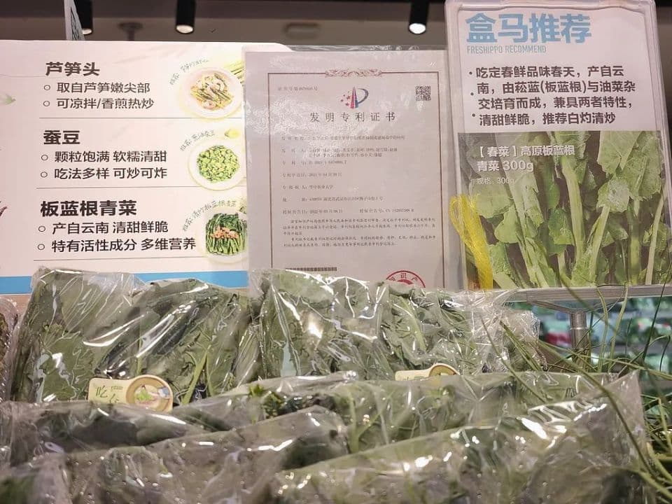 “板蓝根青菜”成新晋菜圈顶流，真能抗病毒？