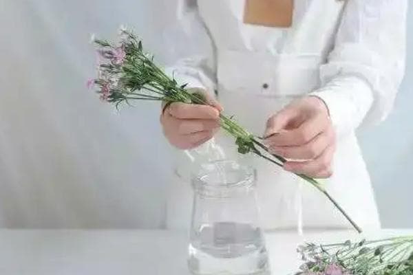 如何正确醒花：从材料准备到后期养护的完整指南