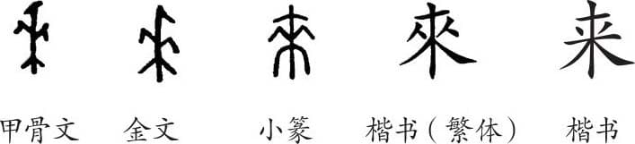 《来》字义，《来》字的字形演变，小篆隶书楷书写法《来》
