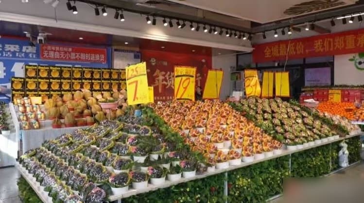 春季水果“上新” 蓝莓西梅抢占C位