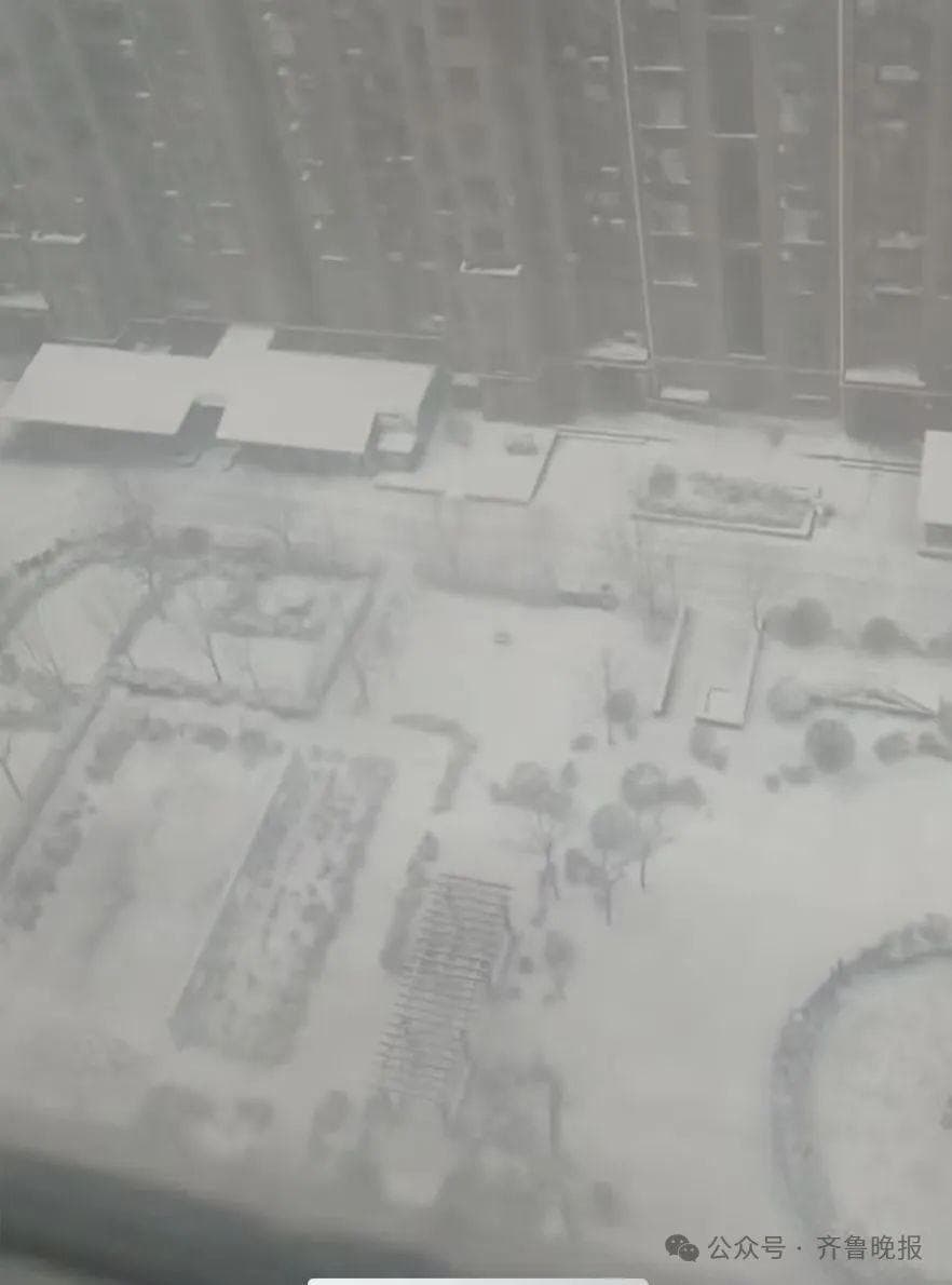 雨雪进入最强时段！济南发暴雪橙警！多地景区、公路紧急通告