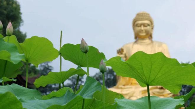 流传千年的《开经偈》，究竟在讲什么？