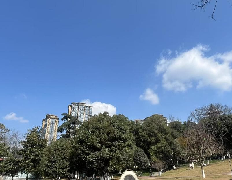心理学科普：认知偏差（含12种常见的复杂偏差）