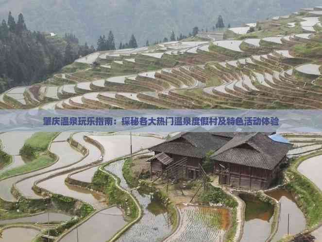 肇庆温泉玩乐指南：探秘各大热门温泉度假村及特色活动体验
