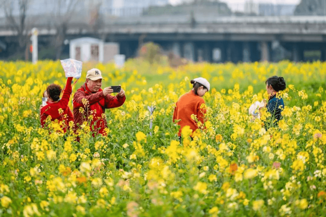 成都：打造生态宜居的公园城市实践样本