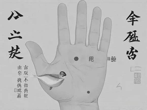 鱼际穴：人体健康的宝藏穴位
