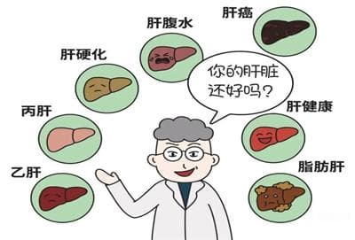 悄悄致癌的“肝炎—肝硬化—肝癌”三部曲