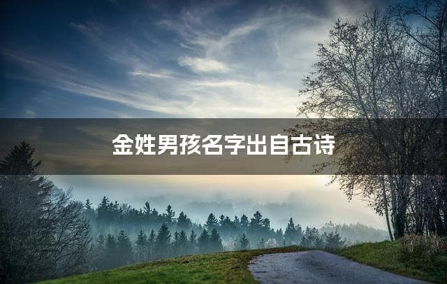 金姓男孩名字出自古诗