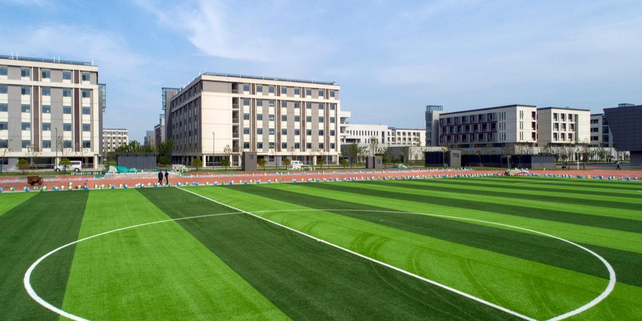 “双一流”建设8年成绩单：如何推动更多大学和学科成为世界一流