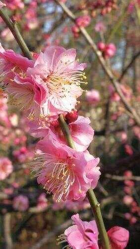 老花眼的自我防治