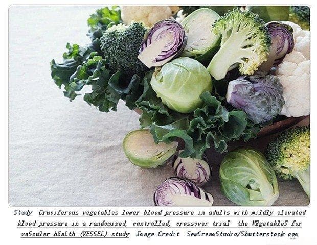 研究证实：十字花科蔬菜能有效降低轻度高血压患者的血压