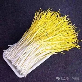 蒜黄和蒜苗有什么区别？怎么做好吃？