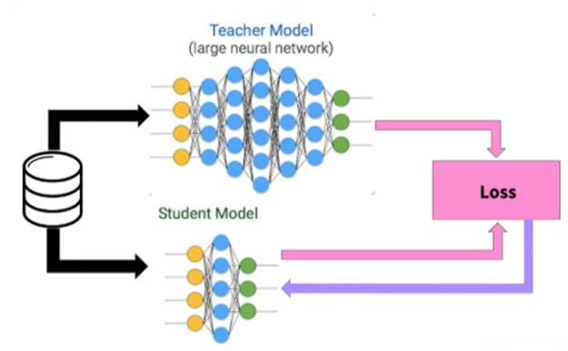 知识蒸馏详解：从教师模型到学生模型的知识转移