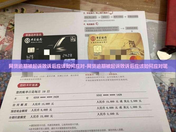 网贷逾期被起诉败诉后的应对策略