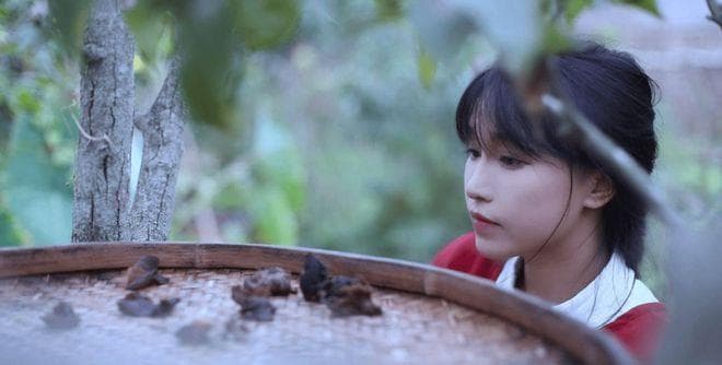 四年一梦，归来仍是美学守望者——李子柒的文化独白