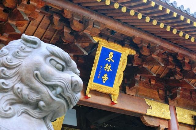 江西九江有一座东林寺，历史悠久，是佛教净土宗的发源地之一