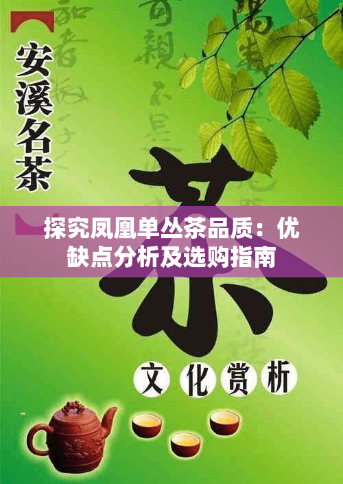 探究凤凰单丛茶品质：优缺点分析及选购指南