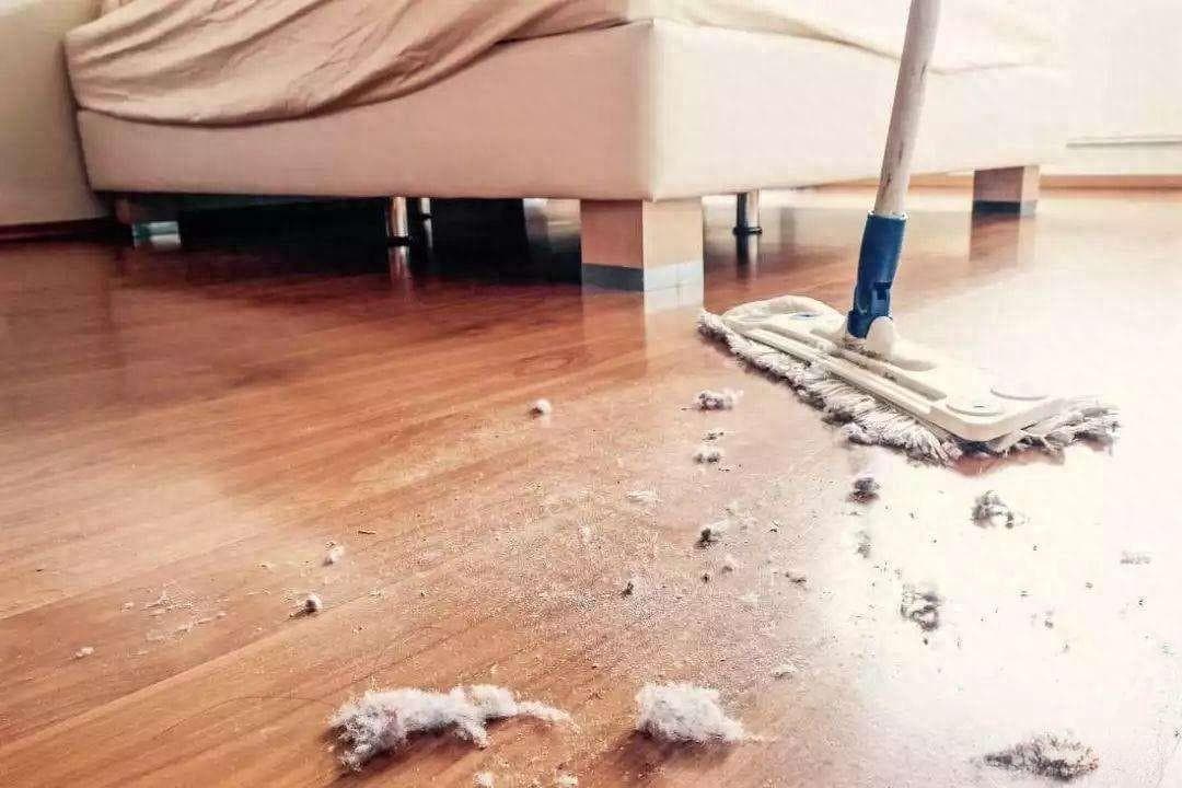 家里那么多“毛絮”，从何而来？学会1个小妙招，毛絮消失无影踪
