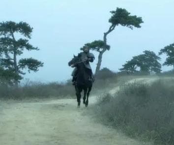 探秘历史：张辽死亡的真正原因