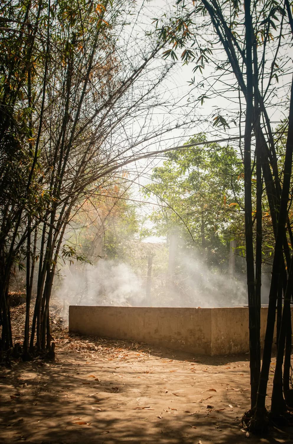 绿色火化：环保殡葬的创新之路