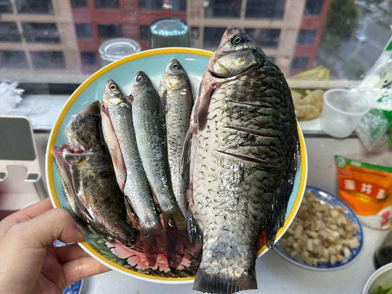 景德镇杂鱼一锅鲜：保留鱼鲜味的特色炖鱼法