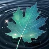 梦境里面的心理学