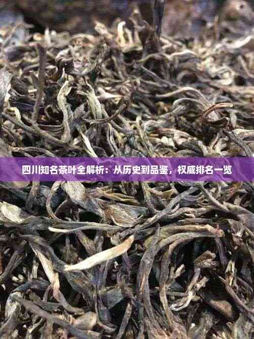 四川知名茶叶全解析：从历史到品鉴，权威排名一览
