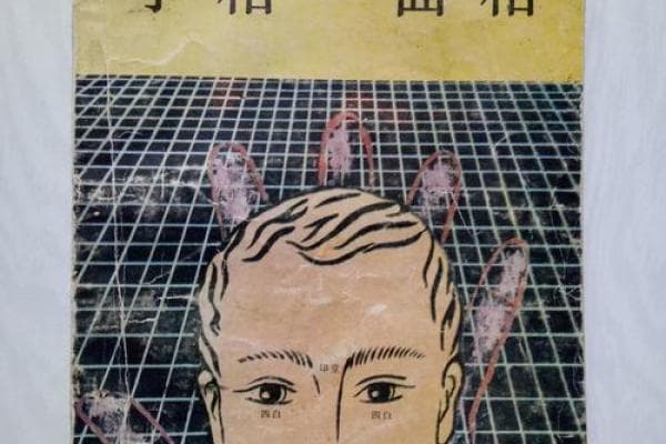 手相与面相的科学性和可信度分析