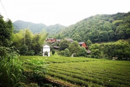 全国最长游步道、杭州“小九寨”：西湖区两大避暑胜地