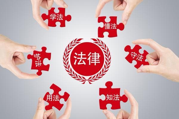 合伙夫妻构成要件：法律视角下的婚姻与财产关系解析