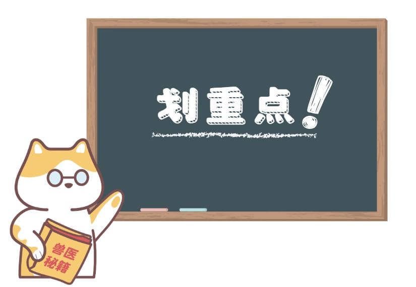 新手宠主必看！猫咪身上出癣的初期症状，附高清图片！