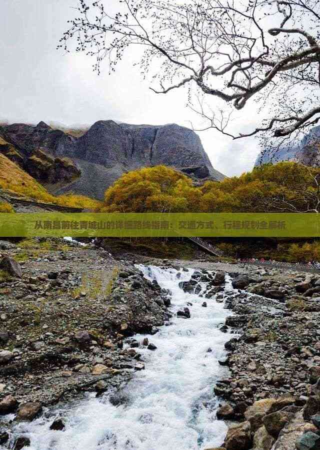 从南昌前往青城山的详细路线指南：交通方式、行程规划全解析