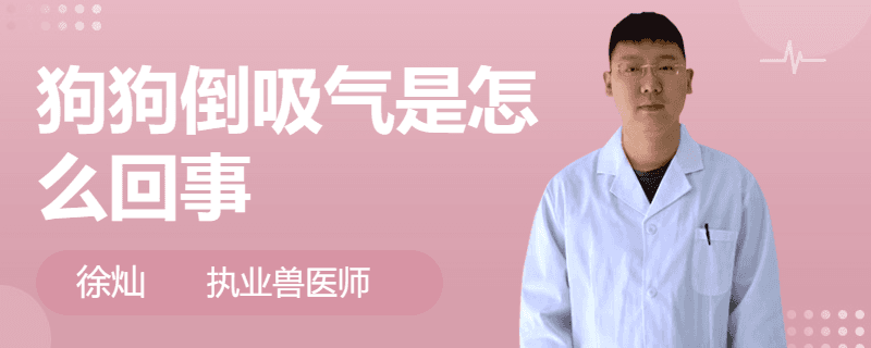 狗狗倒吸气是怎么回事