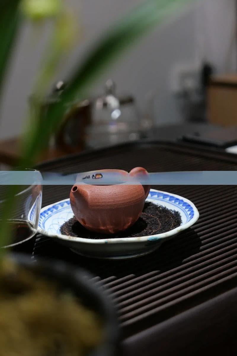 山楂、土茯苓、陈皮的综合功效与食谱：全面解析健康搭配与日常应用
