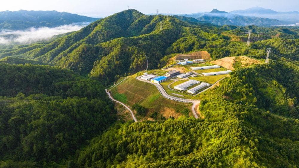 一只飞出丛山的鸡：长汀河田鸡的全产业链发展之路