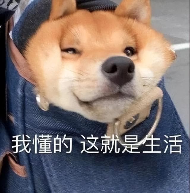 狗狗便秘怎么办？8大实用解决方案帮你轻松应对