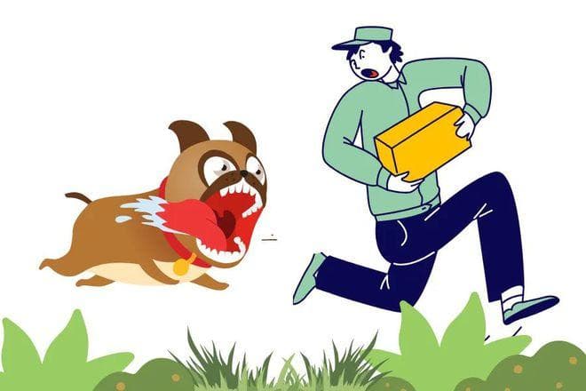 被自家狗咬伤离世案例引发关注，生活中该如何做到有效预防？